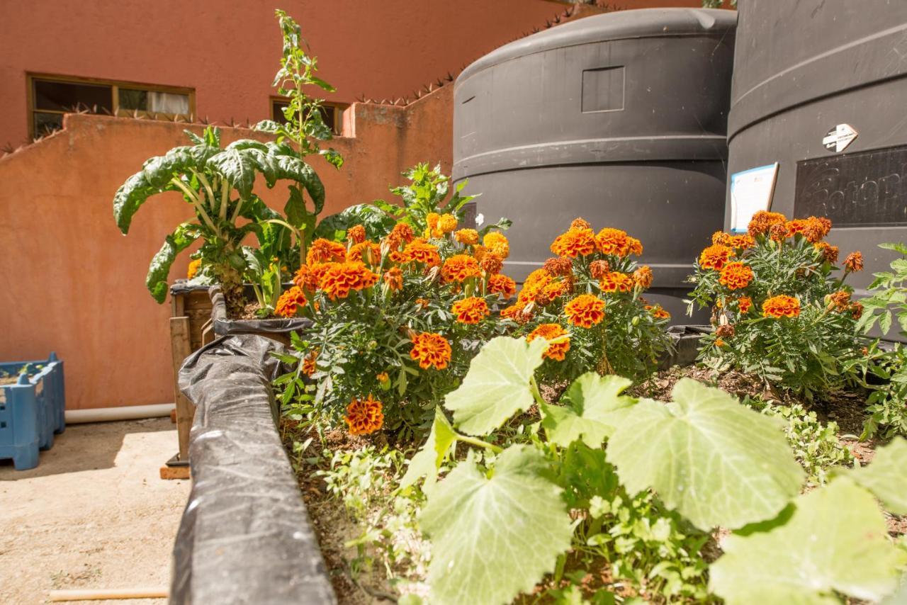 Casa Estrella De La Valenciana Hotel Boutique Guanajuato Exterior photo